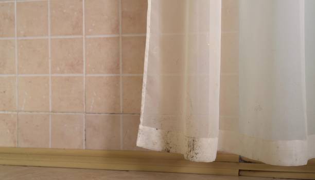Best Water Damage & Mold Remediation  in Great Neck Estates, NY